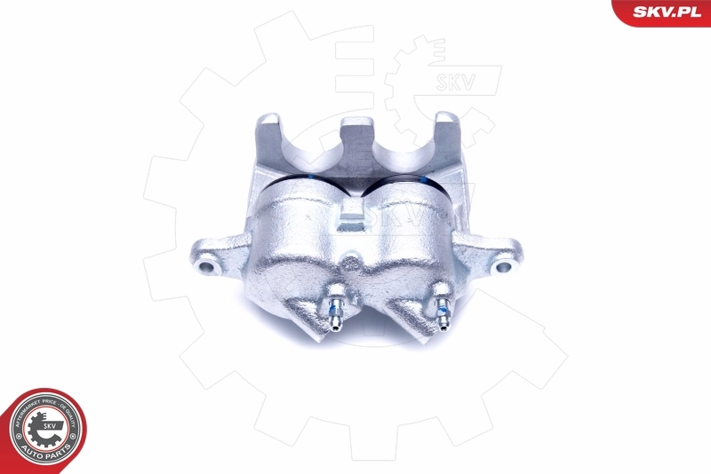 Brake Caliper 50SKV251