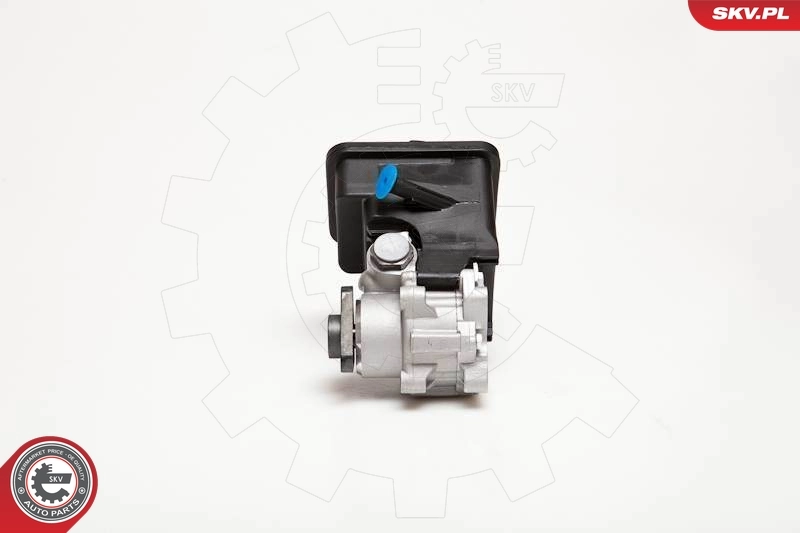 Hydraulic Pump, steering 10SKV012