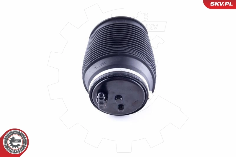 Air Spring, suspension 58SKV009