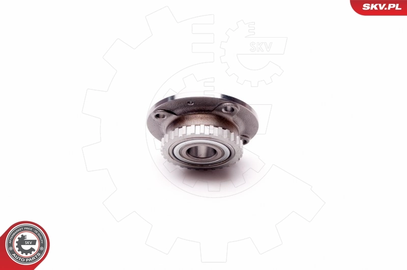 Wheel Bearing Kit 29SKV025