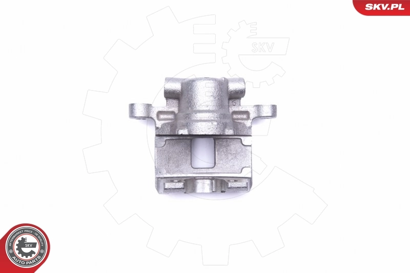Brake Caliper 45SKV604