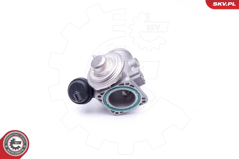 EGR Valve 14SKV107