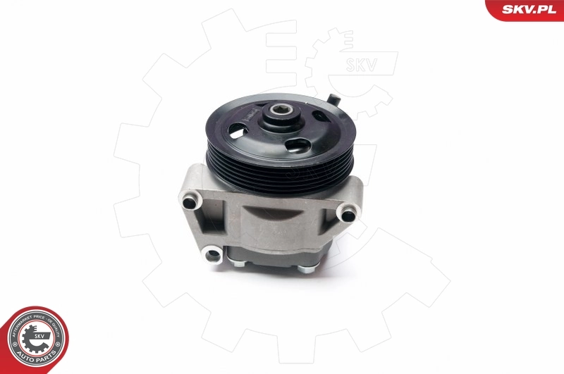 Hydraulic Pump, steering 10SKV215