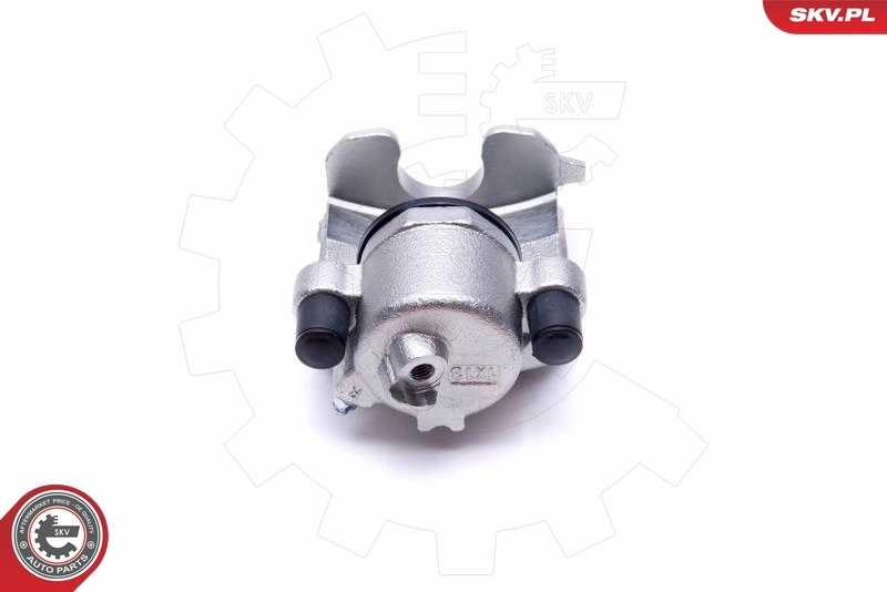 Brake Caliper 55SKV892