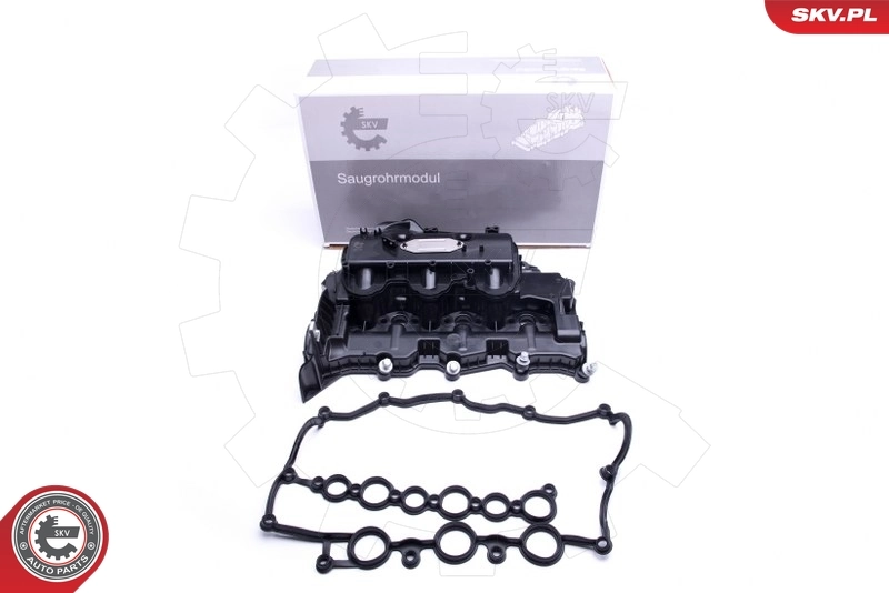 Intake Manifold Module 49SKV031