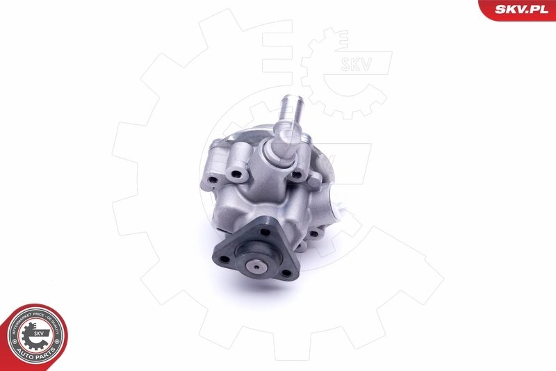 Hydraulic Pump, steering 10SKV170