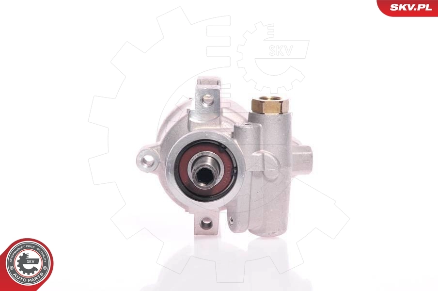 Hydraulic Pump, steering 10SKV154