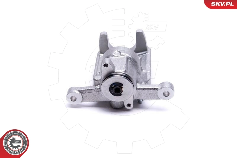 Brake Caliper 44SKV484
