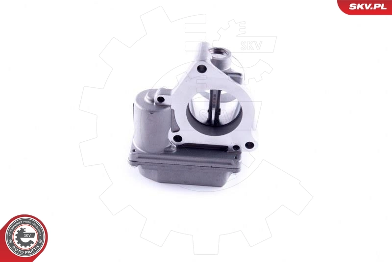 Throttle Body 12SKV090