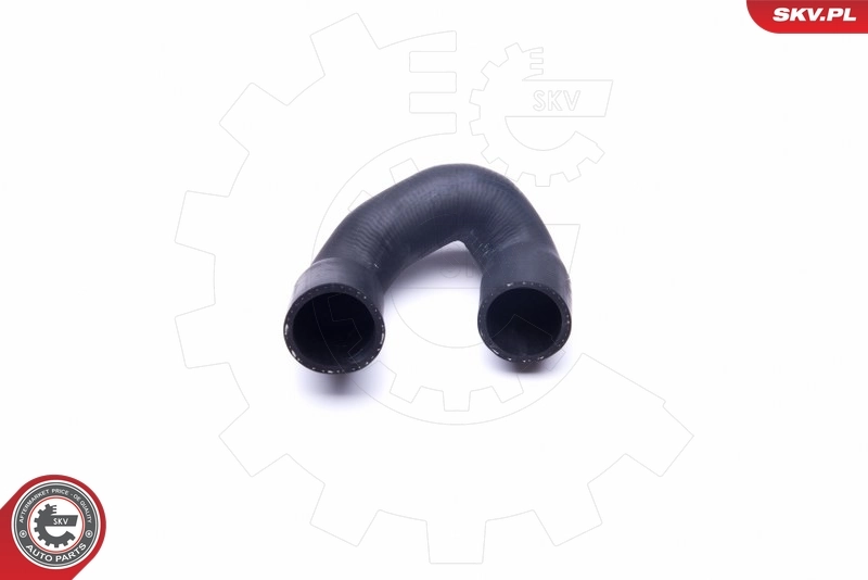 Radiator Hose 43SKV745