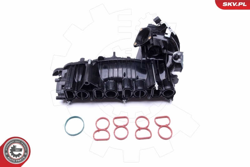 Intake Manifold Module 49SKV018