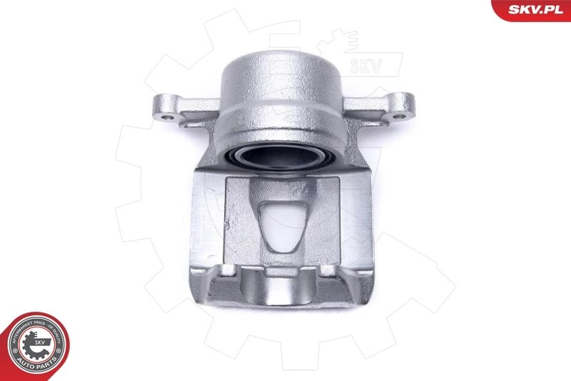 Brake Caliper 42SKV792