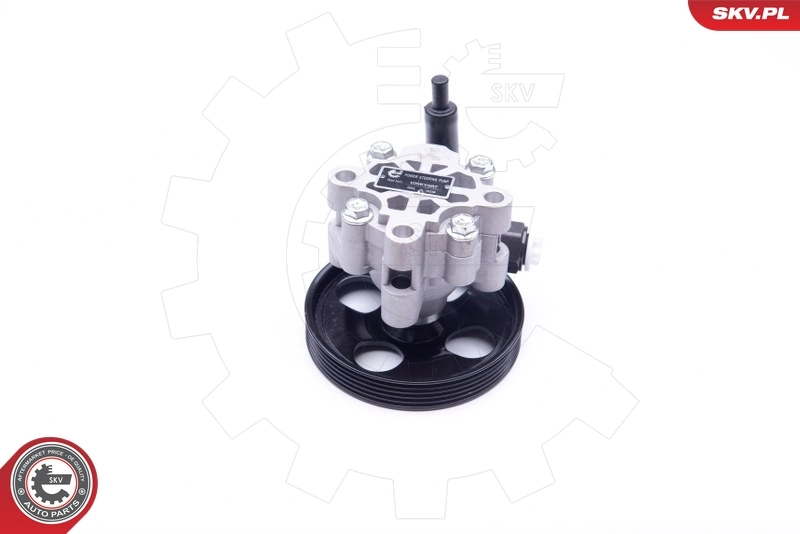 Hydraulic Pump, steering 10SKV287