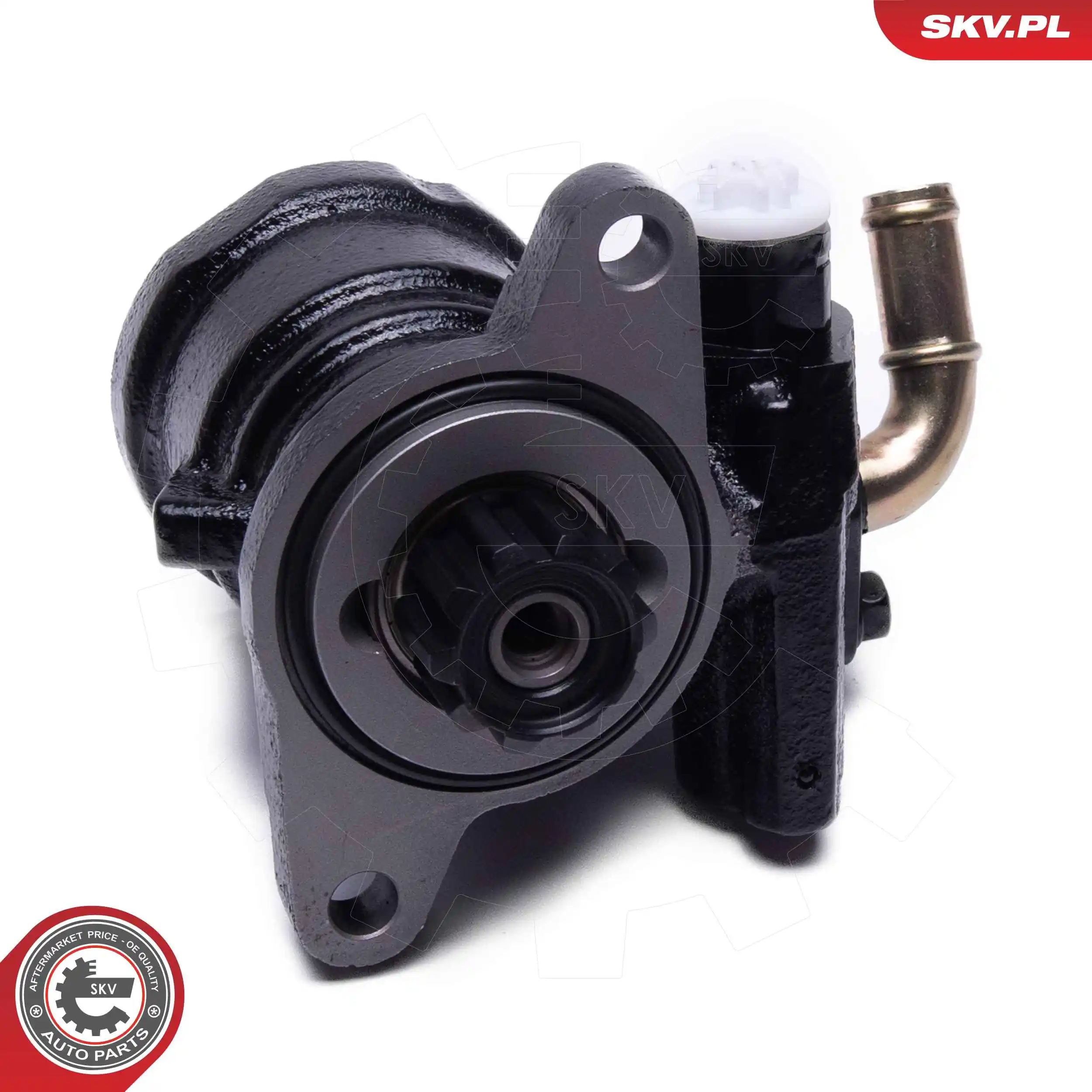 Hydraulic Pump, steering 10SKV315