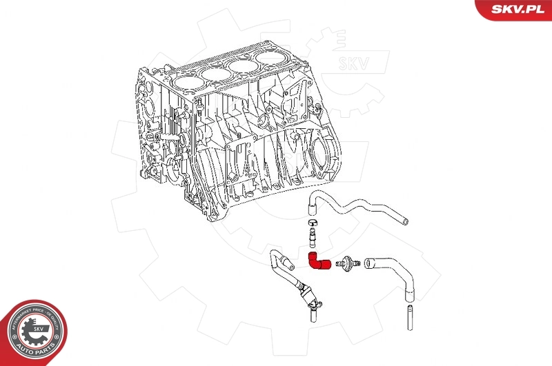 Hose, crankcase ventilation 31SKV130