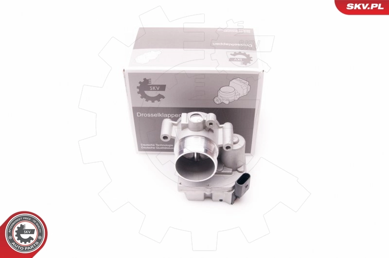 Throttle Body 12SKV063