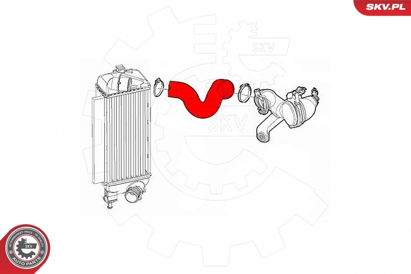 Charge Air Hose 43SKV302