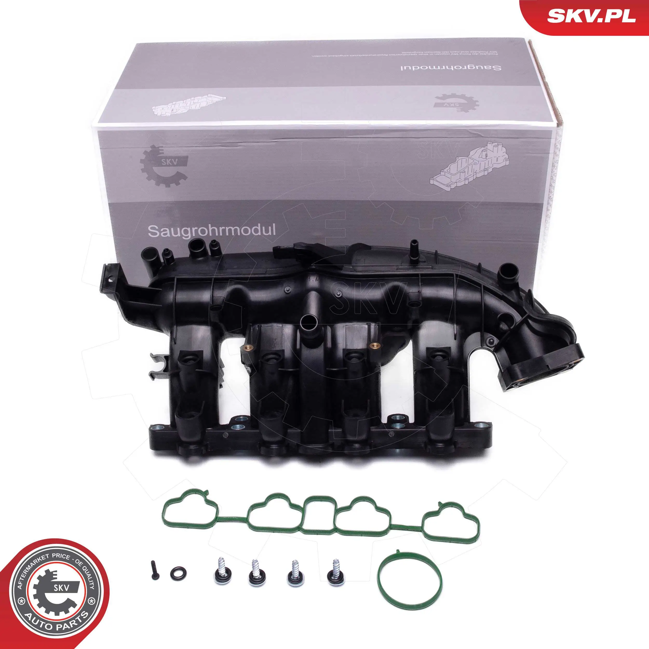 Intake Manifold Module 49SKV076