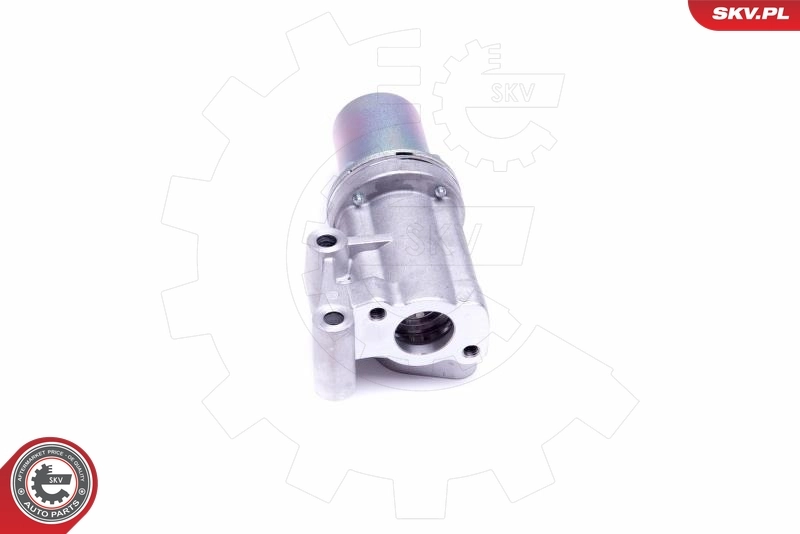 EGR Valve 14SKV211