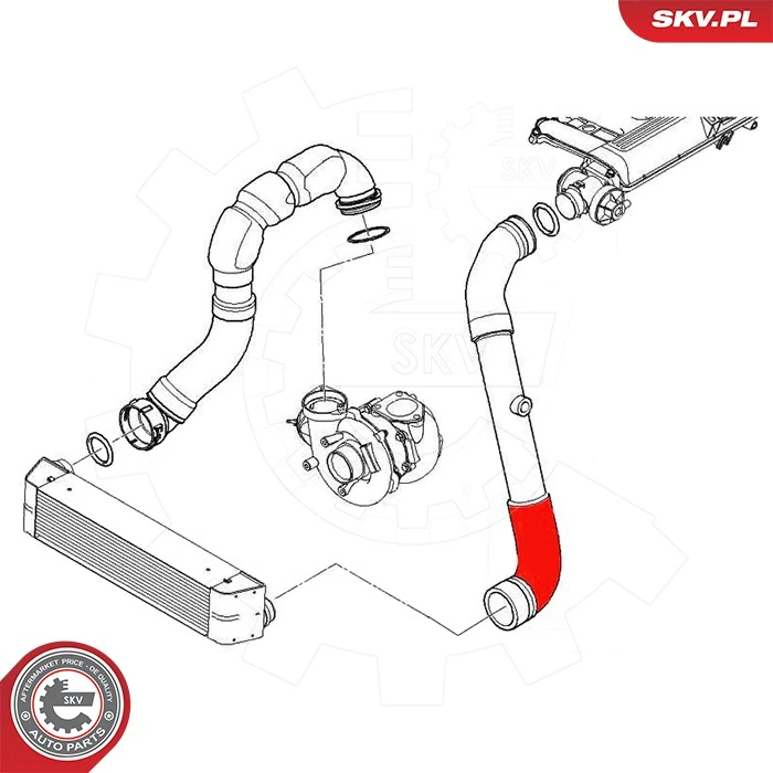 Charge Air Hose 43SKV439