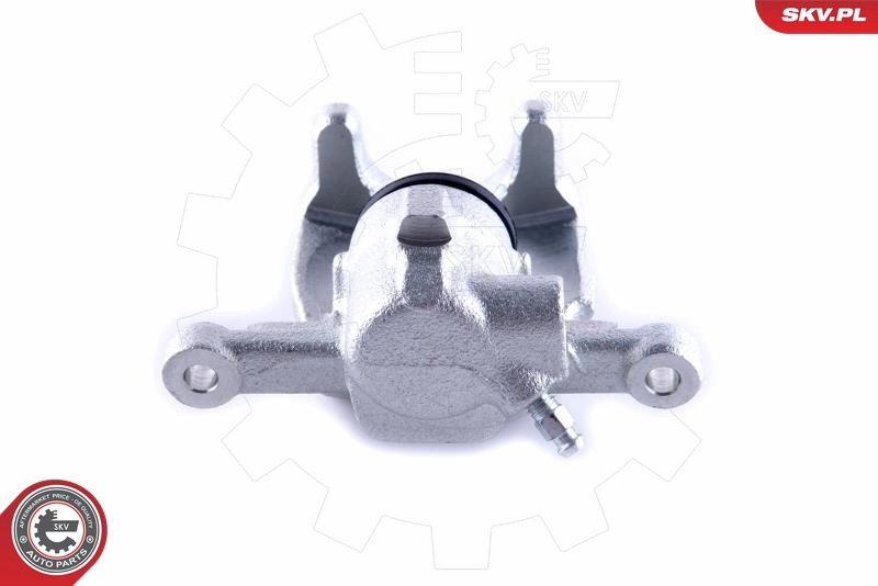 Brake Caliper 55SKV234