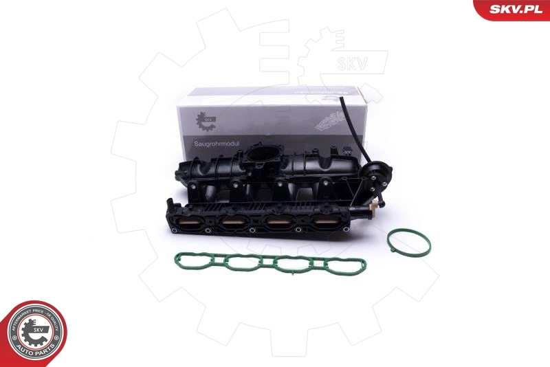 Intake Manifold Module 49SKV059