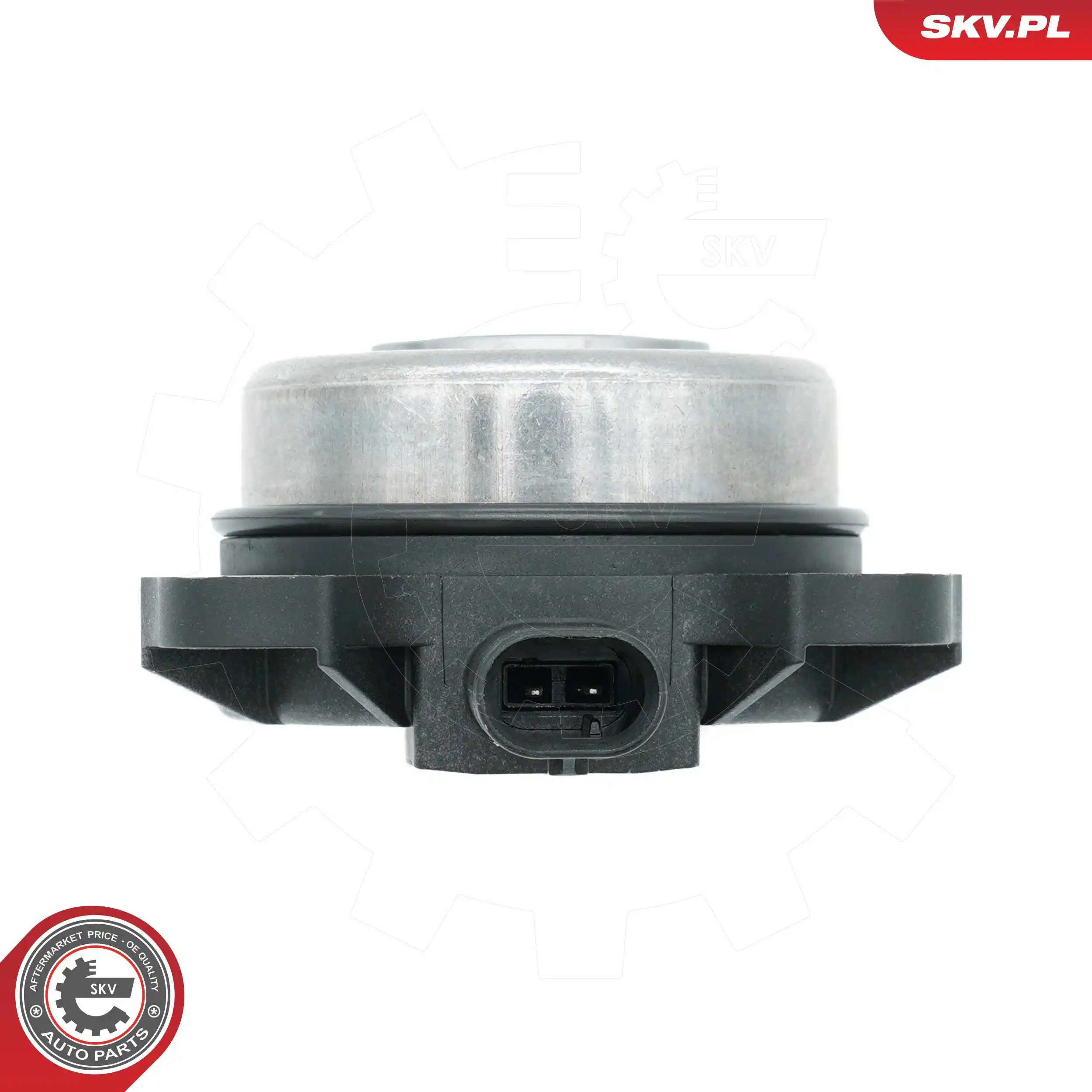Central Magnet, camshaft adjustment 39SKV903
