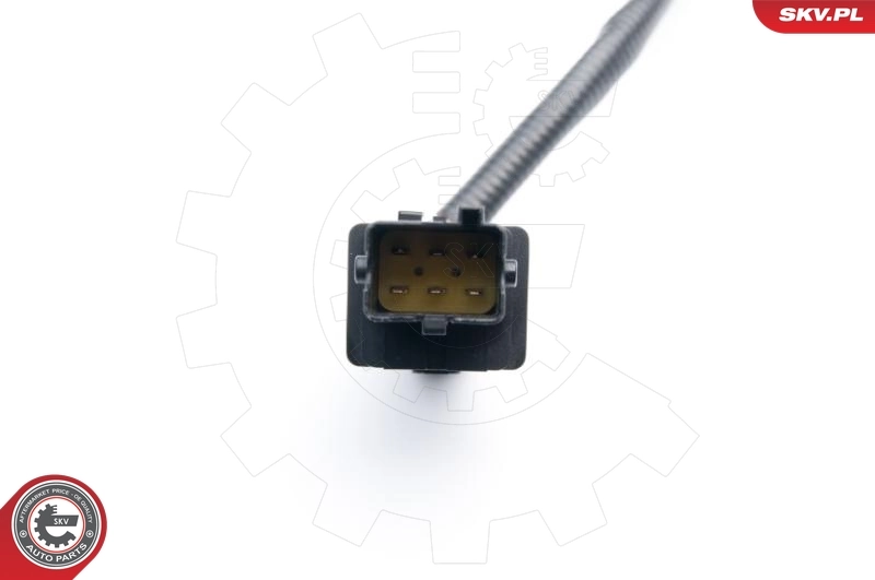Oxygen Sensor 09SKV869