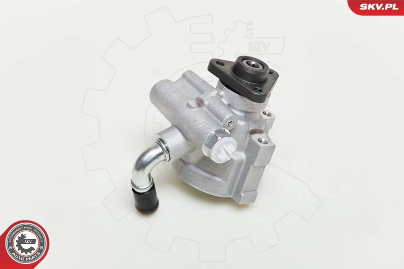 Hydraulic Pump, steering 10SKV061