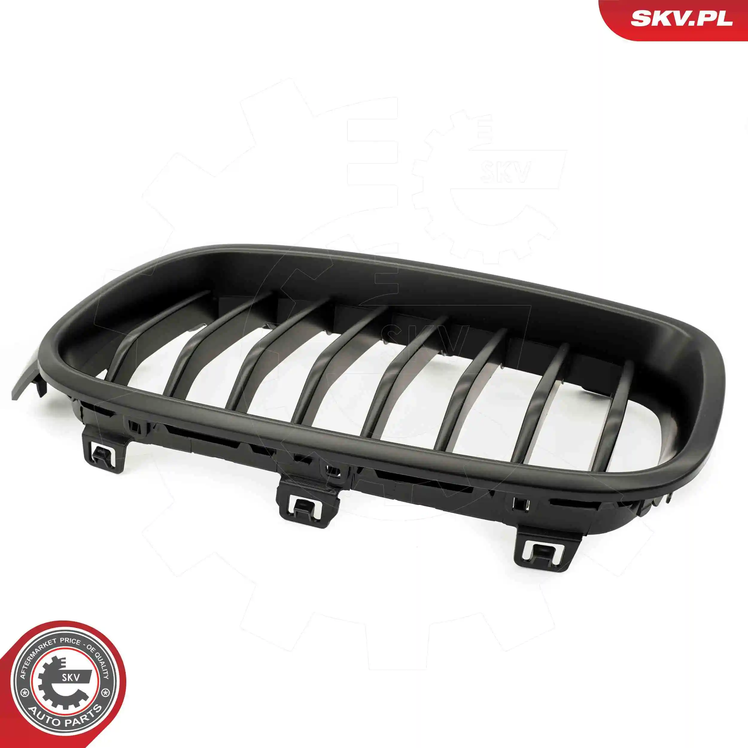 Radiator Grille 66SKV121