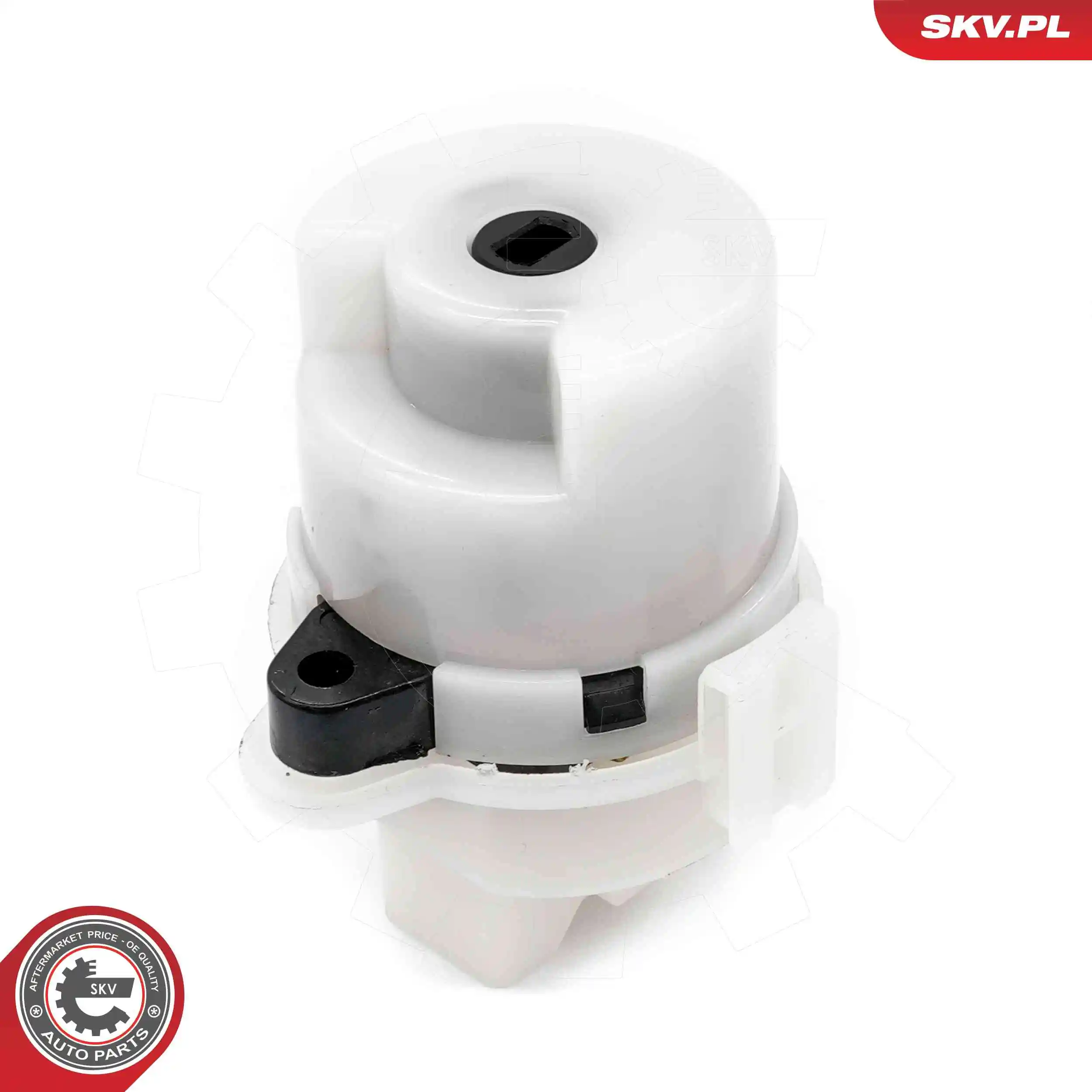 Ignition Switch 65SKV027