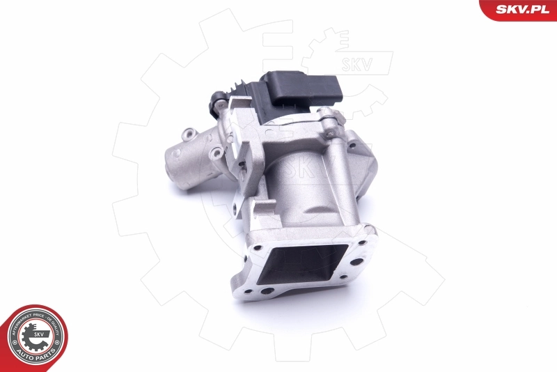 EGRバルブ 14SKV171