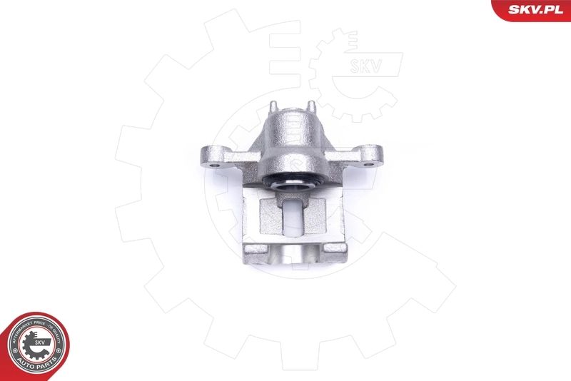 Brake Caliper 42SKV563