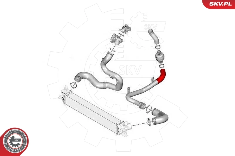 Charge Air Hose 43SKV279