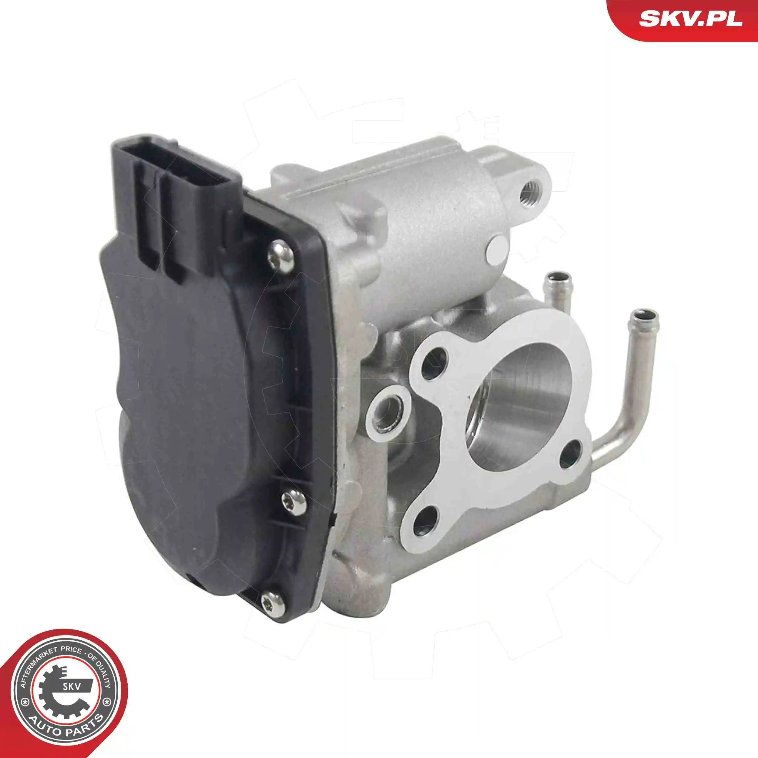 EGR Valve 14SKV294
