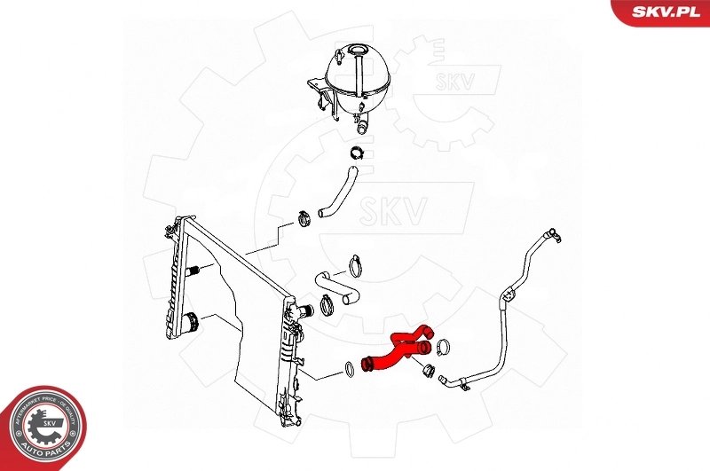 Radiator Hose 24SKV306