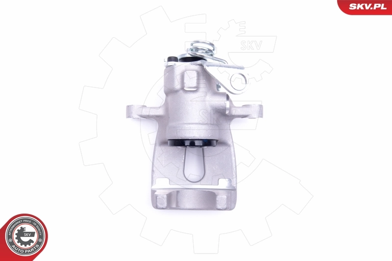 Brake Caliper 46SKV133
