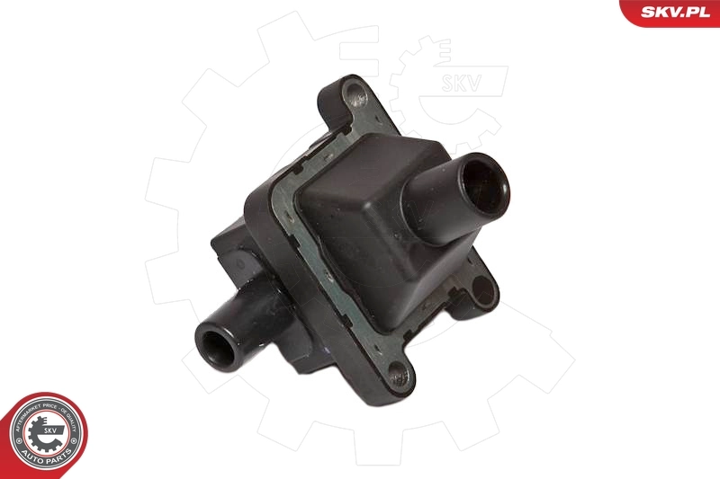 Ignition Coil 03SKV016