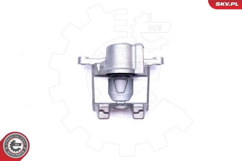 Brake Caliper 42SKV793