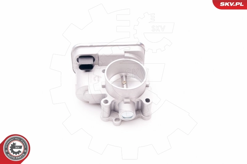 Throttle Body 12SKV066