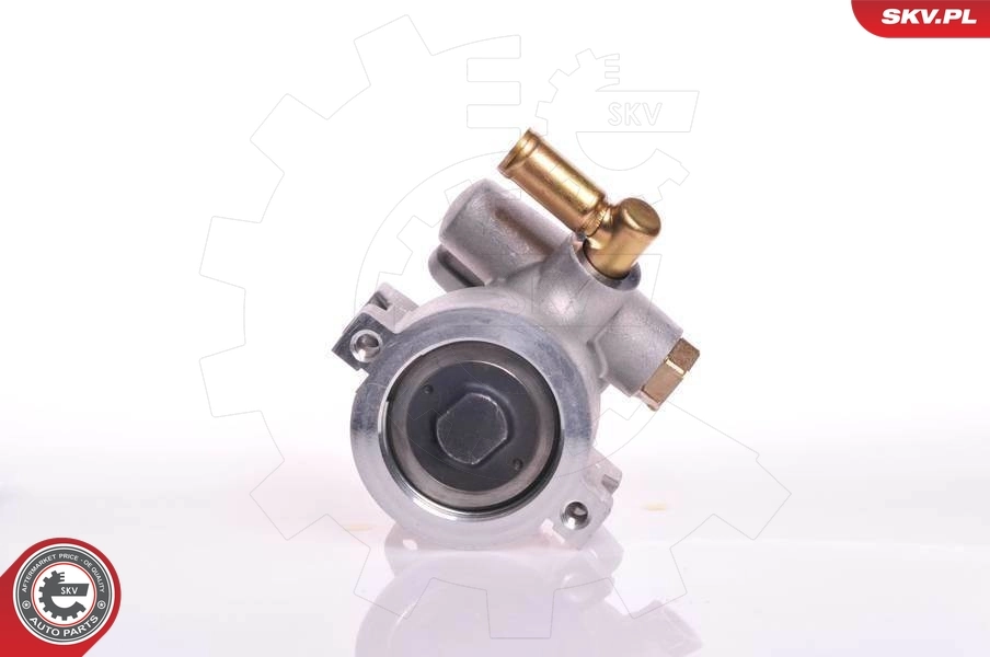 Hydraulic Pump, steering 10SKV120