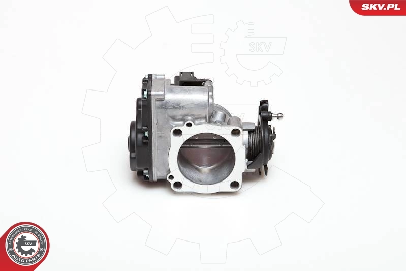 Throttle Body 12SKV007