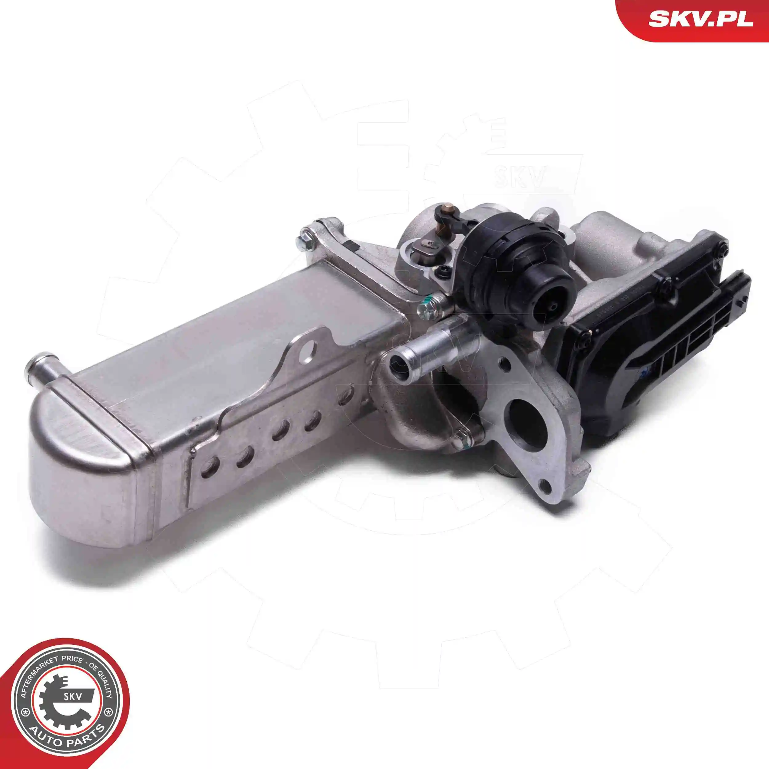 EGR Valve 14SKV241