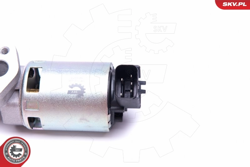 EGR Valve 14SKV208