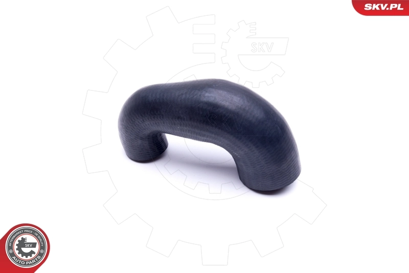 Charge Air Hose 43SKV186