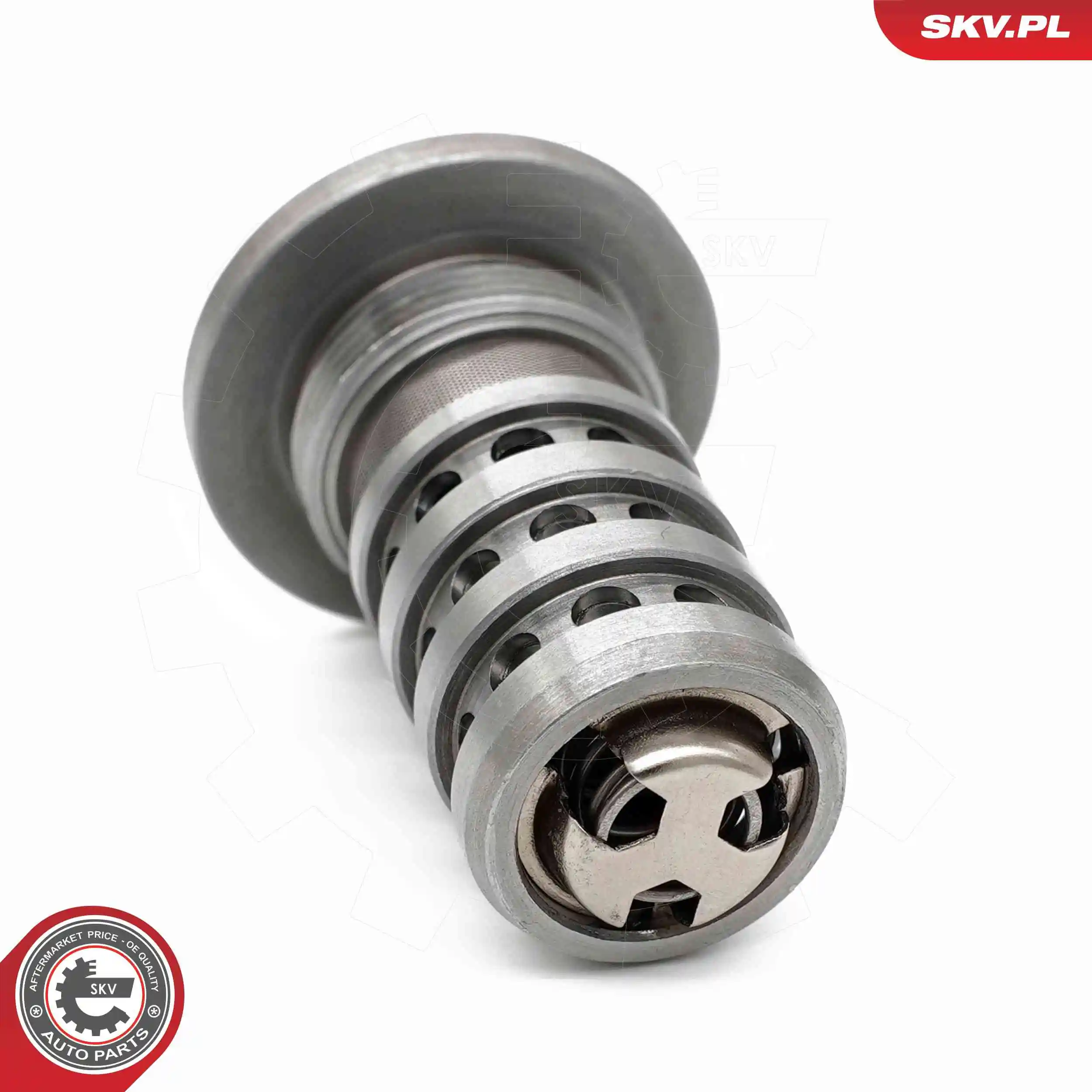 Control Valve, camshaft adjustment 39SKV072