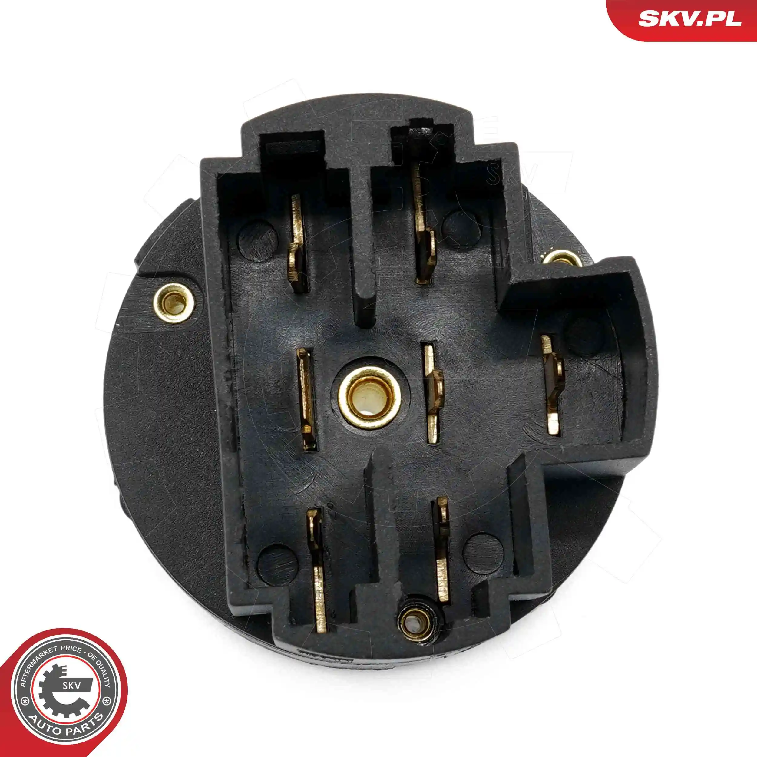 Ignition Switch 65SKV011