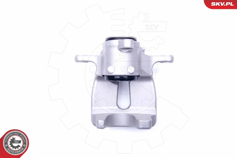 Brake Caliper 44SKV898