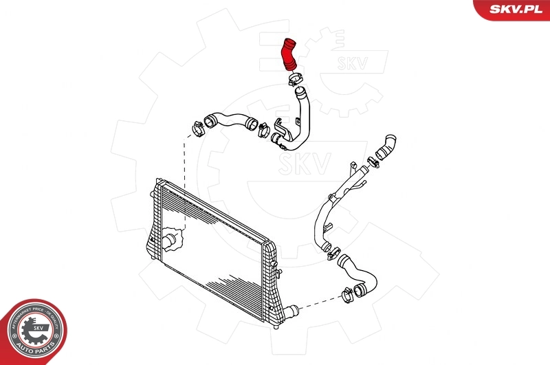Charge Air Hose 24SKV646