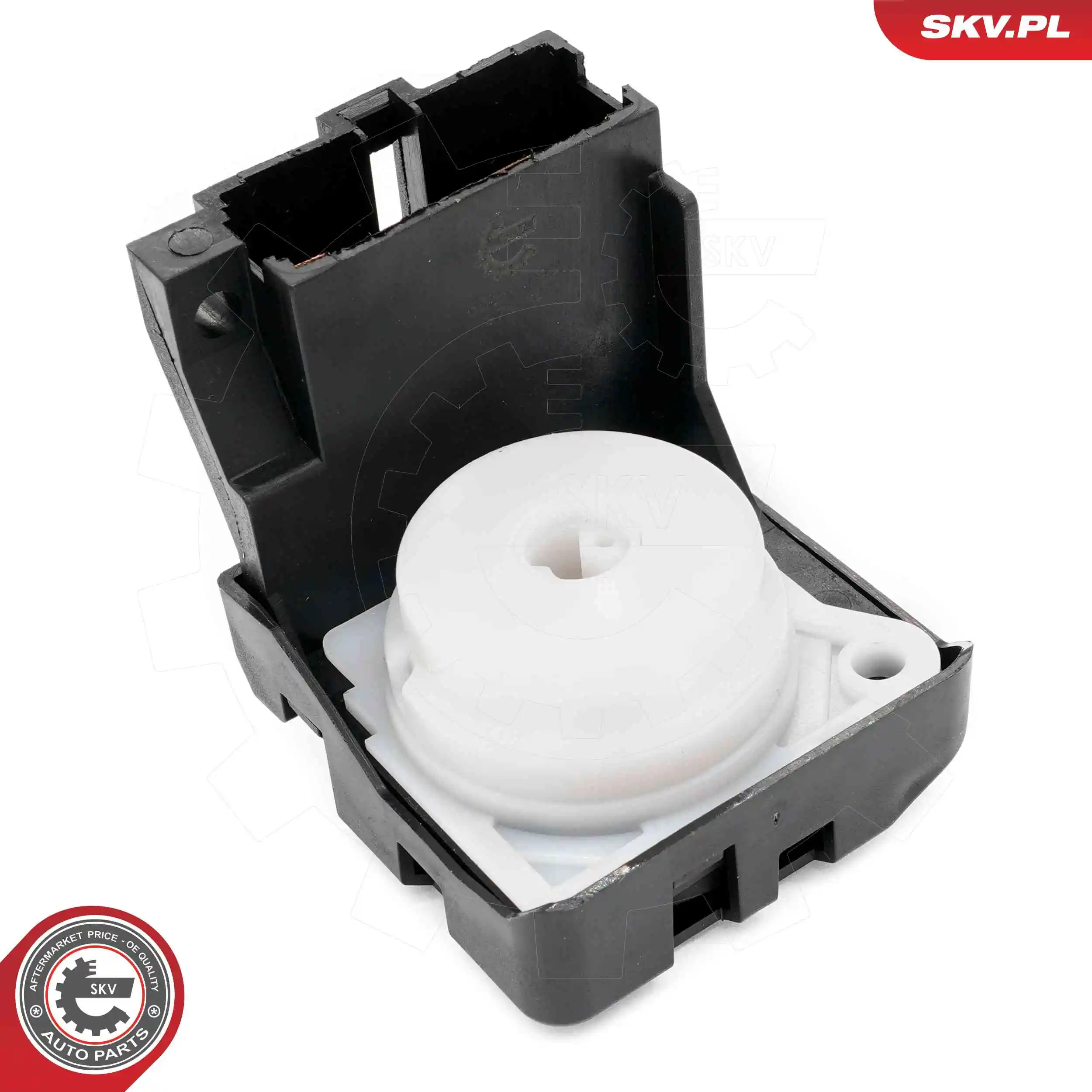 Ignition Switch 65SKV042